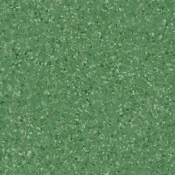 4135 cucumber