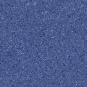 4137 grape