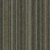 Płytki dywanowe Forbo Tessera Barcode 318