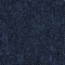 251
