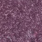 340027F Coralline anemone
