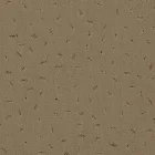 Miniatura Wykładzina dywanowa w rolce Balsan Elite 