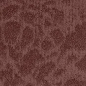 Płytki dywanowe Balsan Stream 570