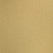 Wykładzina dywanowa w rolce Balsan Majestic 320