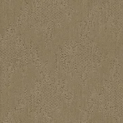 630