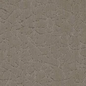 Wykładziny dywanowe w rolce Balsan Muse 730