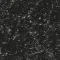 999_GREY