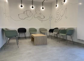 Wykładzina w przychodni weterynaryjnej – normy, wymagania i standardy higieny