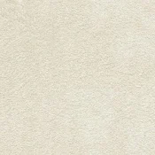 Wykładzina dywanowa w rolce AW Softissimo 03