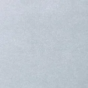 Wykładzina dywanowa w rolce AW Oinone 07