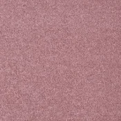 Wykładzina dywanowa w rolce AW Pisces 16