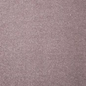 Wykładzina dywanowa w rolce AW Pontus 17