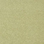 Wykładzina dywanowa w rolce AW Pisces 21