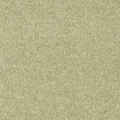 Wykładzina dywanowa w rolce AW Gaia Parana 24