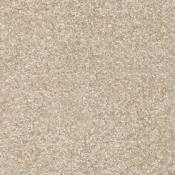 Wykładzina dywanowa w rolce AW Gaia Dorado 33