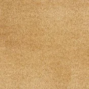 Wykładzina dywanowa w rolce AW Gaia Rio Grande 35