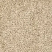 Wykładzina dywanowa w rolce AW Illusion 36