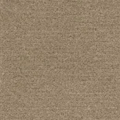 Wykładzina dywanowa w rolce AW Caracas 37