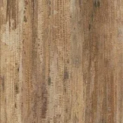 Panele winylowe LVT AW Invictus Maximus Click Tropical Forest 38 Havana