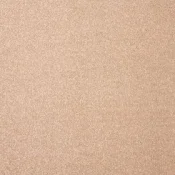 Wykładzina dywanowa w rolce AW Pontus 38