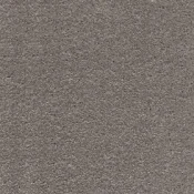 Wykładzina dywanowa w rolce AW Surprise 39