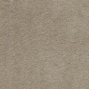 Wykładzina dywanowa w rolce AW Softissimo 39