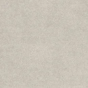 Wykładzina dywanowa w rolce AW Omphale 39