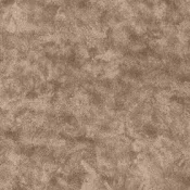 Wykładzina dywanowa w rolce AW Cantate 40