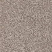 Wykładzina dywanowa w rolce AW Gaia Dorado 49