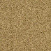 Wykładzina dywanowa w rolce AW Gaia Jade 54