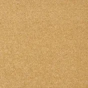 Wykładzina dywanowa w rolce AW Pisces 55