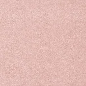 Wykładzina dywanowa w rolce AW Pisces 62