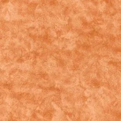 Wykładzina dywanowa w rolce AW Cantate 84