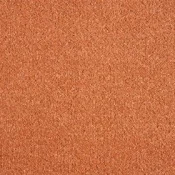 Wykładzina dywanowa w rolce AW Pisces 88