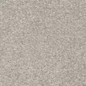 Wykładzina dywanowa w rolce AW Gaia Dorado 90