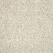 Wykładzina dywanowa w rolce AW Tigris 94