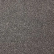 Wykładzina dywanowa w rolce AW Pontus 98