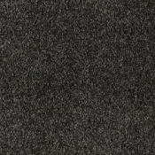 Wykładzina dywanowa w rolce AW Gaia Orinoco 99