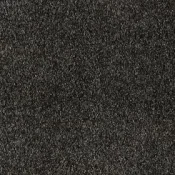 Wykładzina dywanowa w rolce AW Gaia Rio Grande 99