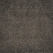 Wykładzina dywanowa w rolce AW Tigris 99