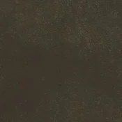 Charcoal