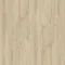 Blackjack Oak 22215