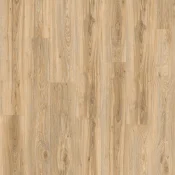 Blackjack Oak 22220
