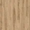 Blackjack Oak 22229