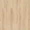 Blackjack Oak 22330