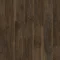 English Walnut 20896