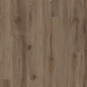 European Oak 02870