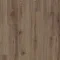 European Oak 02870