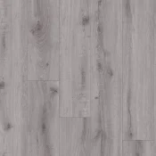 European Oak 02951