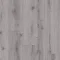 European Oak 02951